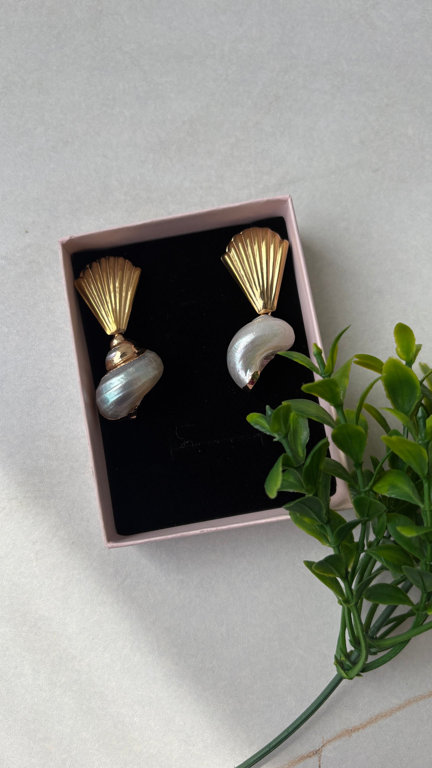 Coil shell earrings