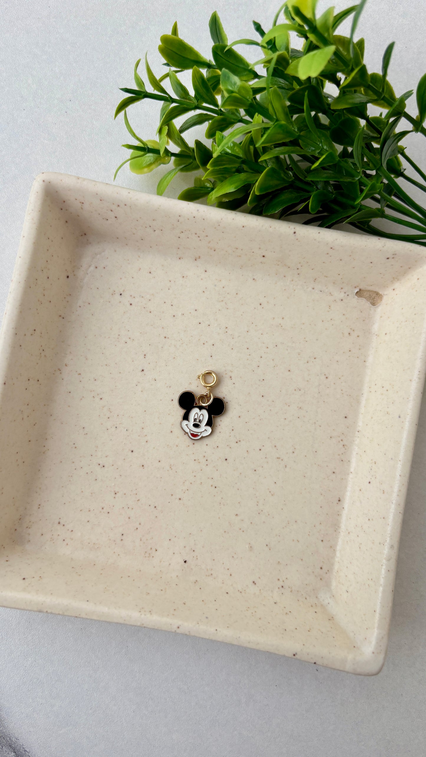 Disney Charm