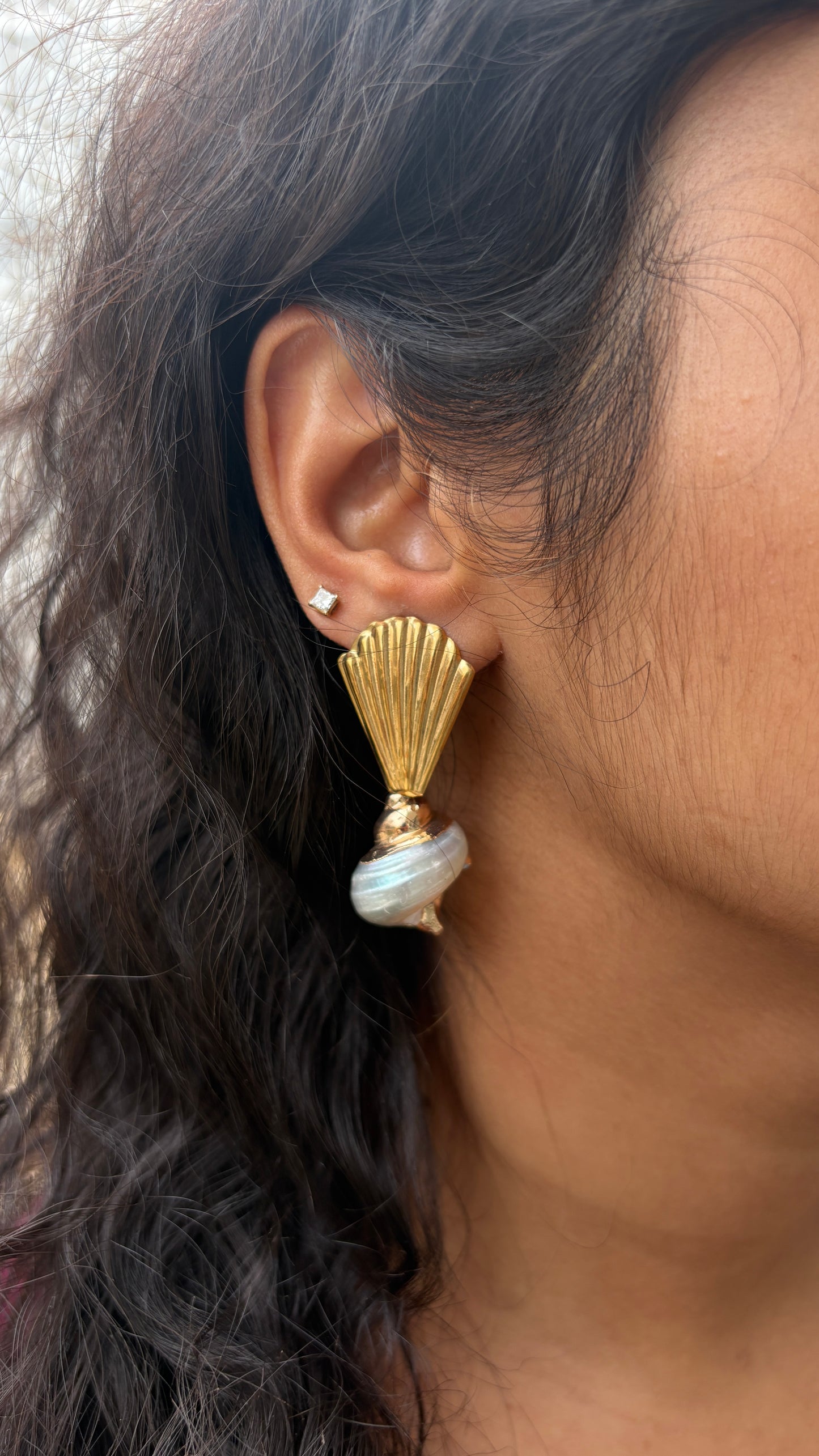 Coil shell earrings