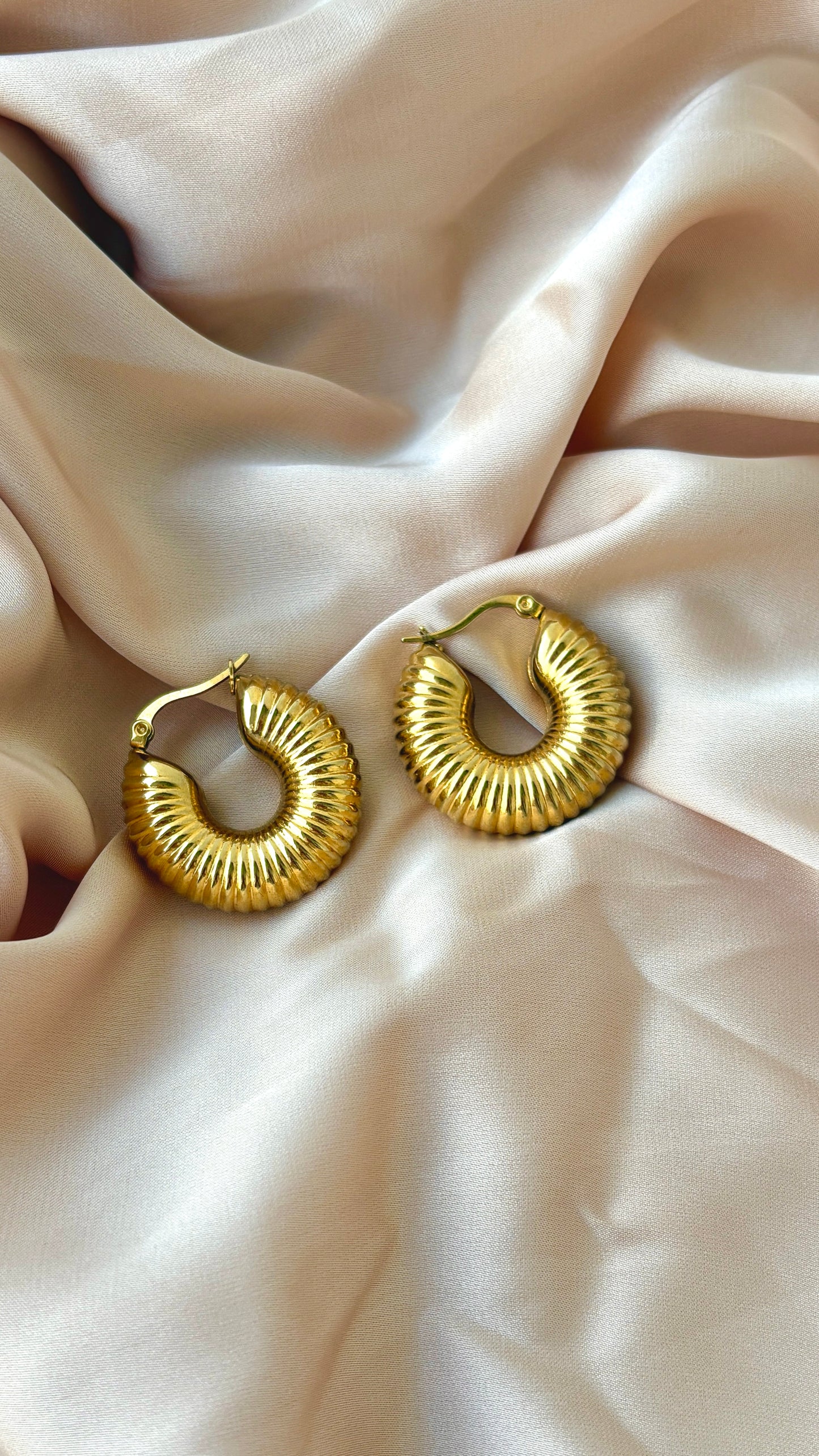 Chunky Coin Hoops