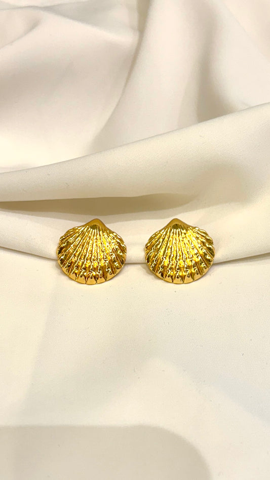 Oyester shell studs