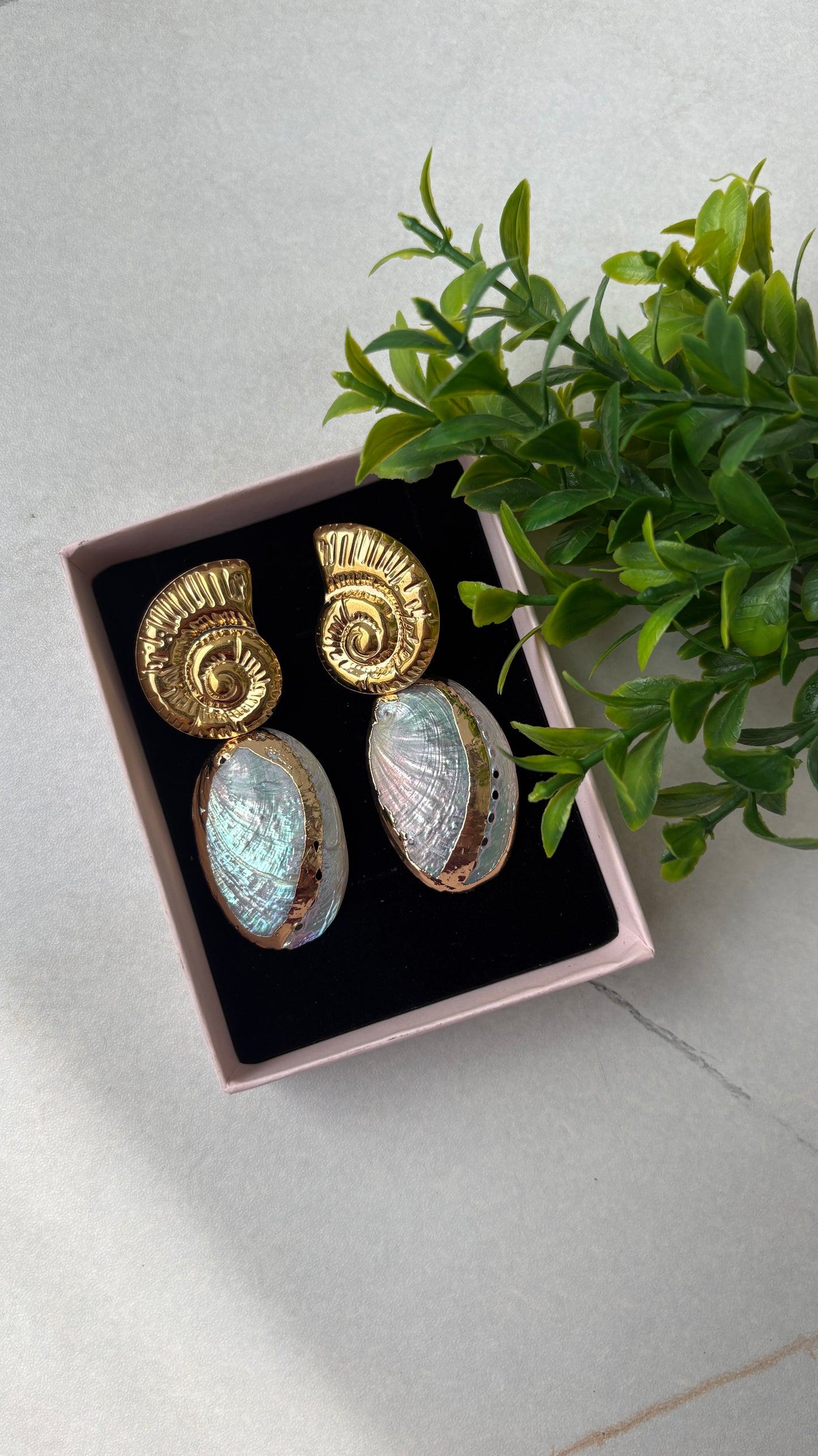 Natural Shell Conch Earrings